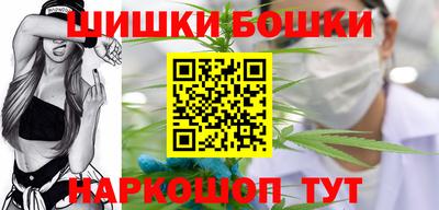 соль ск Можга