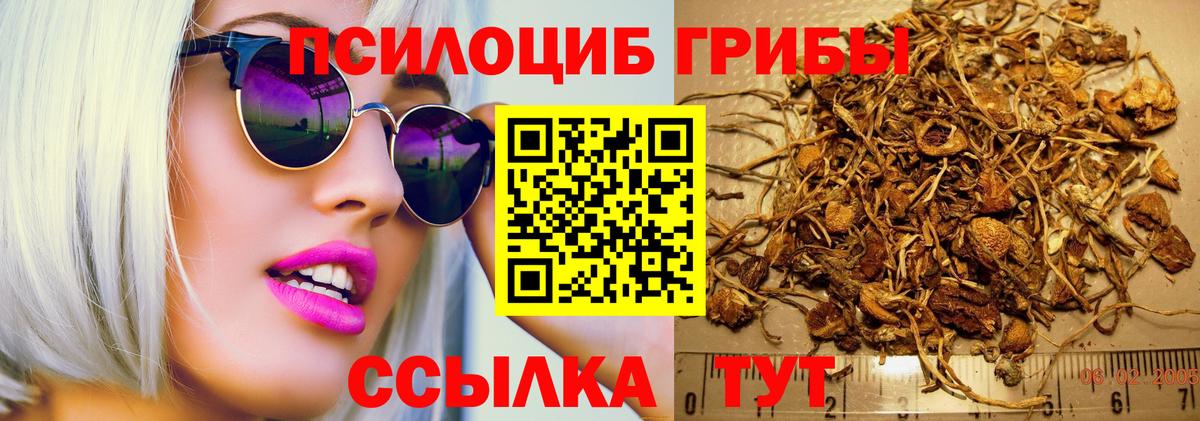Галлюциногенные грибы GOLDEN TEACHER  Вход с VPN  Октябрьский  Псилоцибиновые грибы мухоморы 